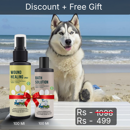 Wound Healing Spray for Dog