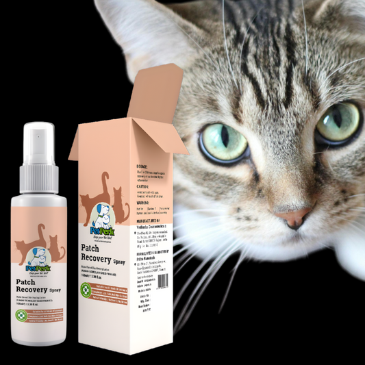 Patch Recovery Spray for Cat (100 ml / Piece)