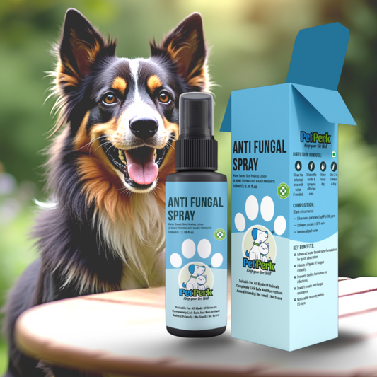 Anti-Fungal Spray for Dog (100 ml / Piece)