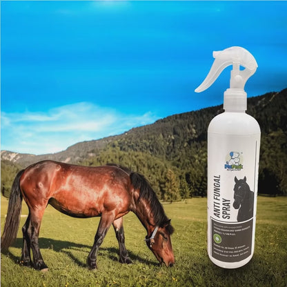 Anti Fungal Spray for Horse (500 ml)