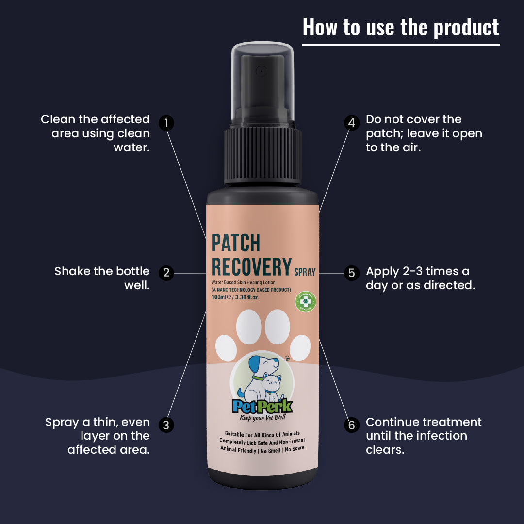 Patch Recovery Spray For Dogs | 100 ml, 1 Piece